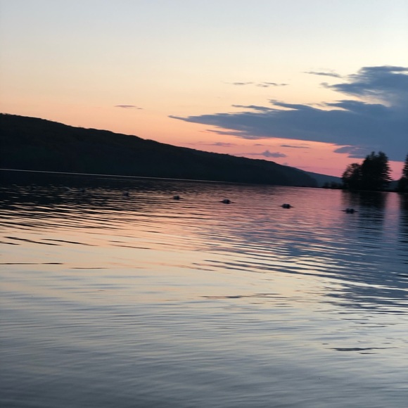 Meet your Posher, Kacey - Picture 1 of 1